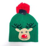 Wholesale Factory Price Jacquard Beanies Hat Manufacturer Custom Logo Unisex Christmas Knit Pom Pom Winter Hat Knitted Cap